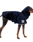 Miniature Pinscher Raincoat
