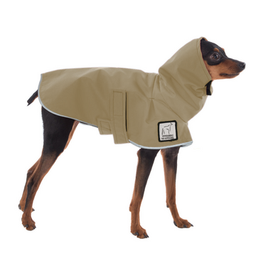 Miniature Pinscher Raincoat
