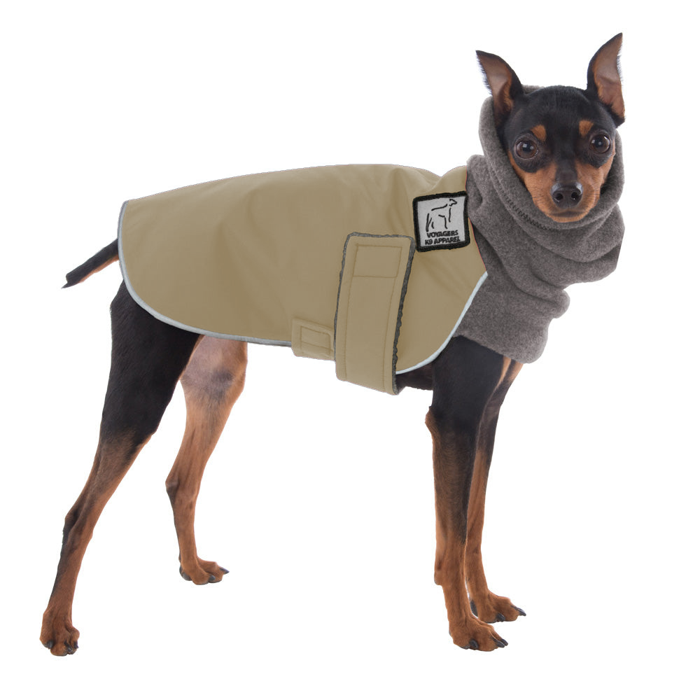 Miniature Pinscher Winter Coat