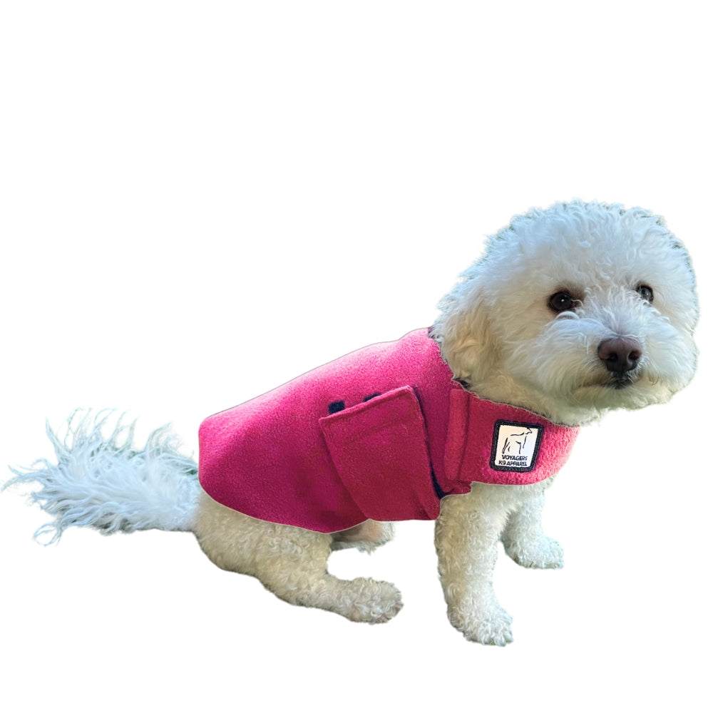 Miniature Poodle Tummy Warmer