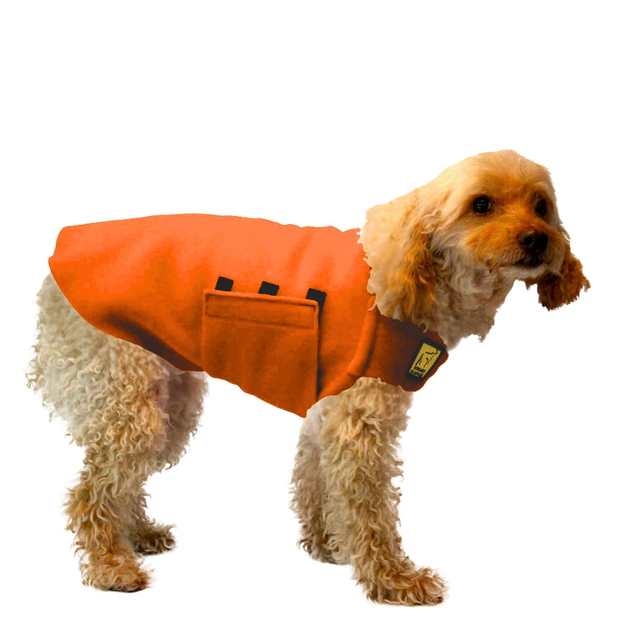 Miniature Poodle Tummy Warmer