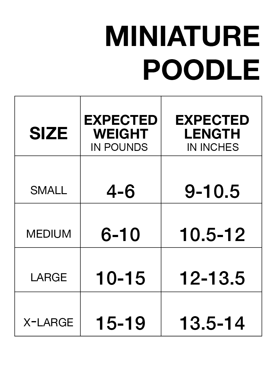 Poodle raincoat 2025