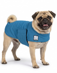 Pug Cooling Coat