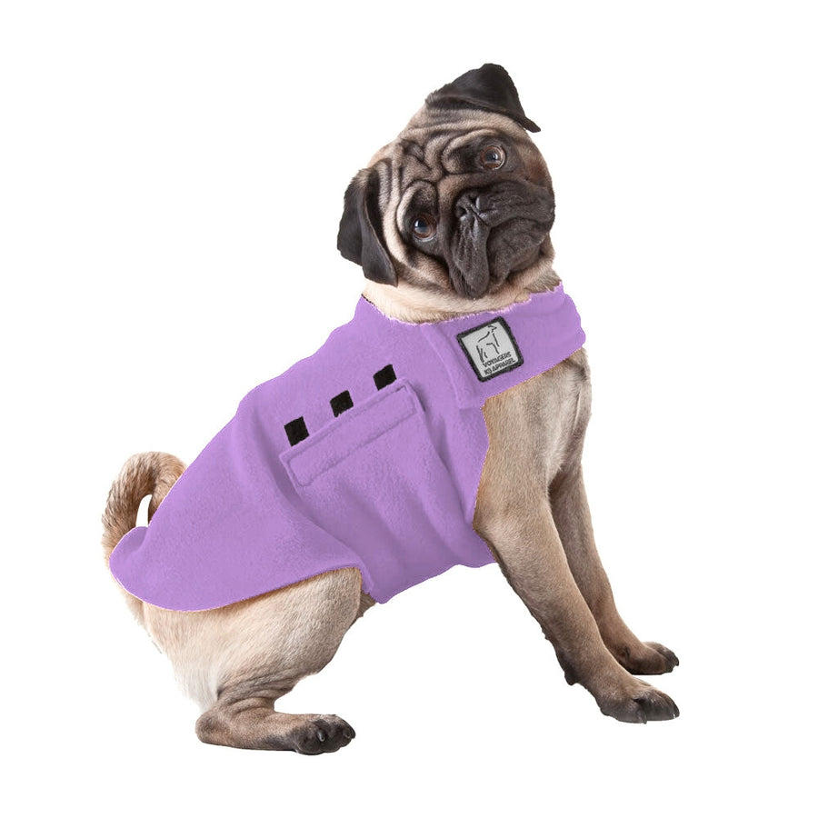 Pug Tummy Warmer