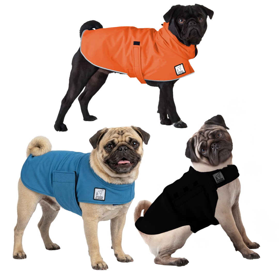 Pug Nomad Bundle