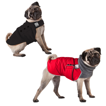 Pug Rover Bundle