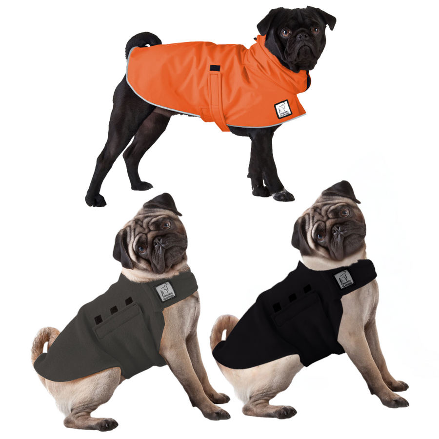 Pug Wanderer Bundle