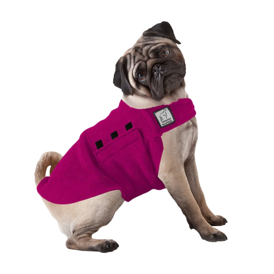Pug Tummy Warmer