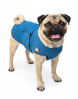 Pug Cooling Coat