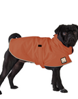 Pug Raincoat