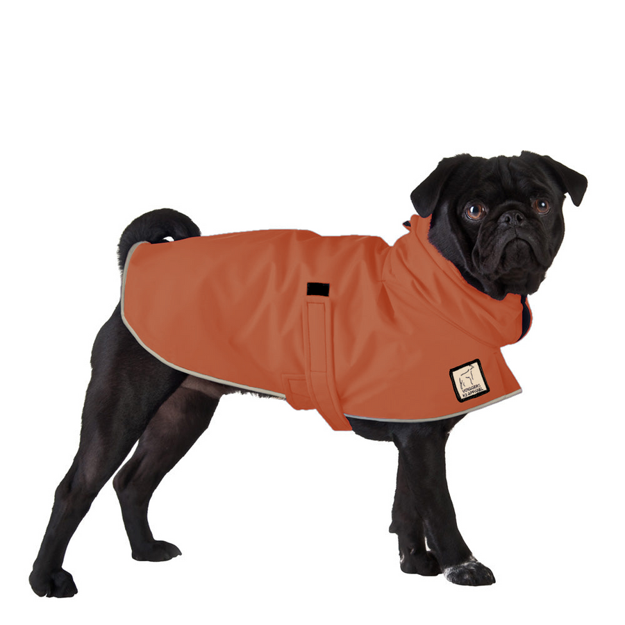 Pug Raincoat