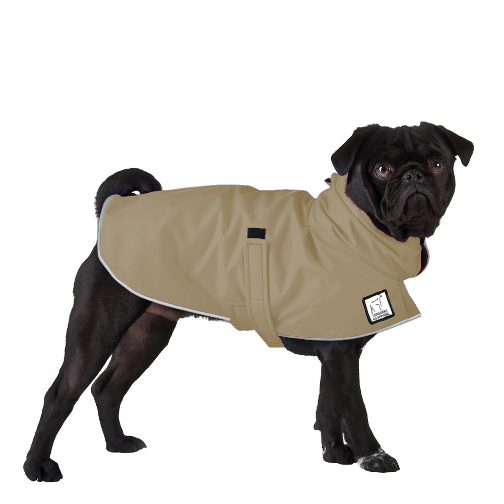 Pug Raincoat