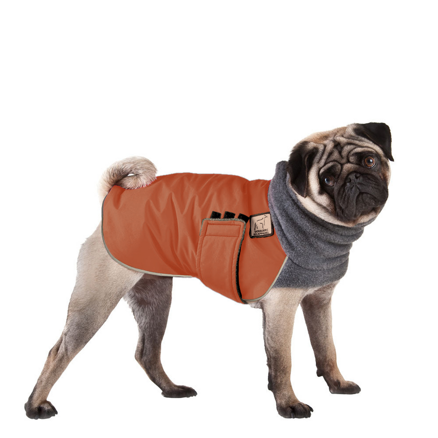 Pug Winter Coat