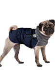 Pug Winter Coat