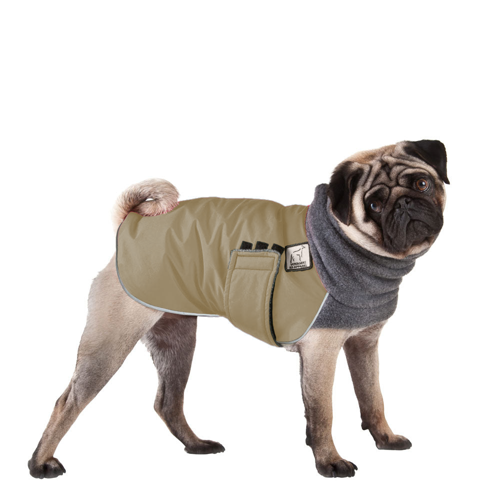 Pug Winter Coat