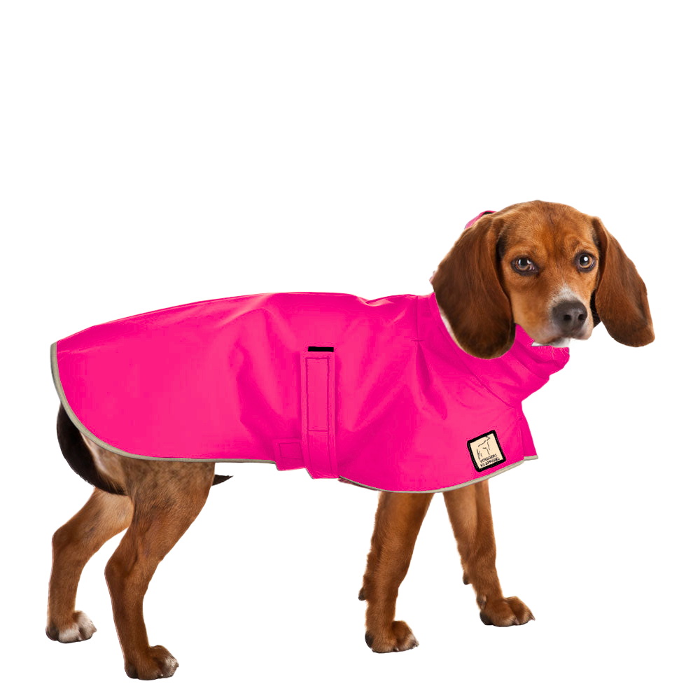 Beagle Raincoat