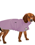 Beagle Raincoat
