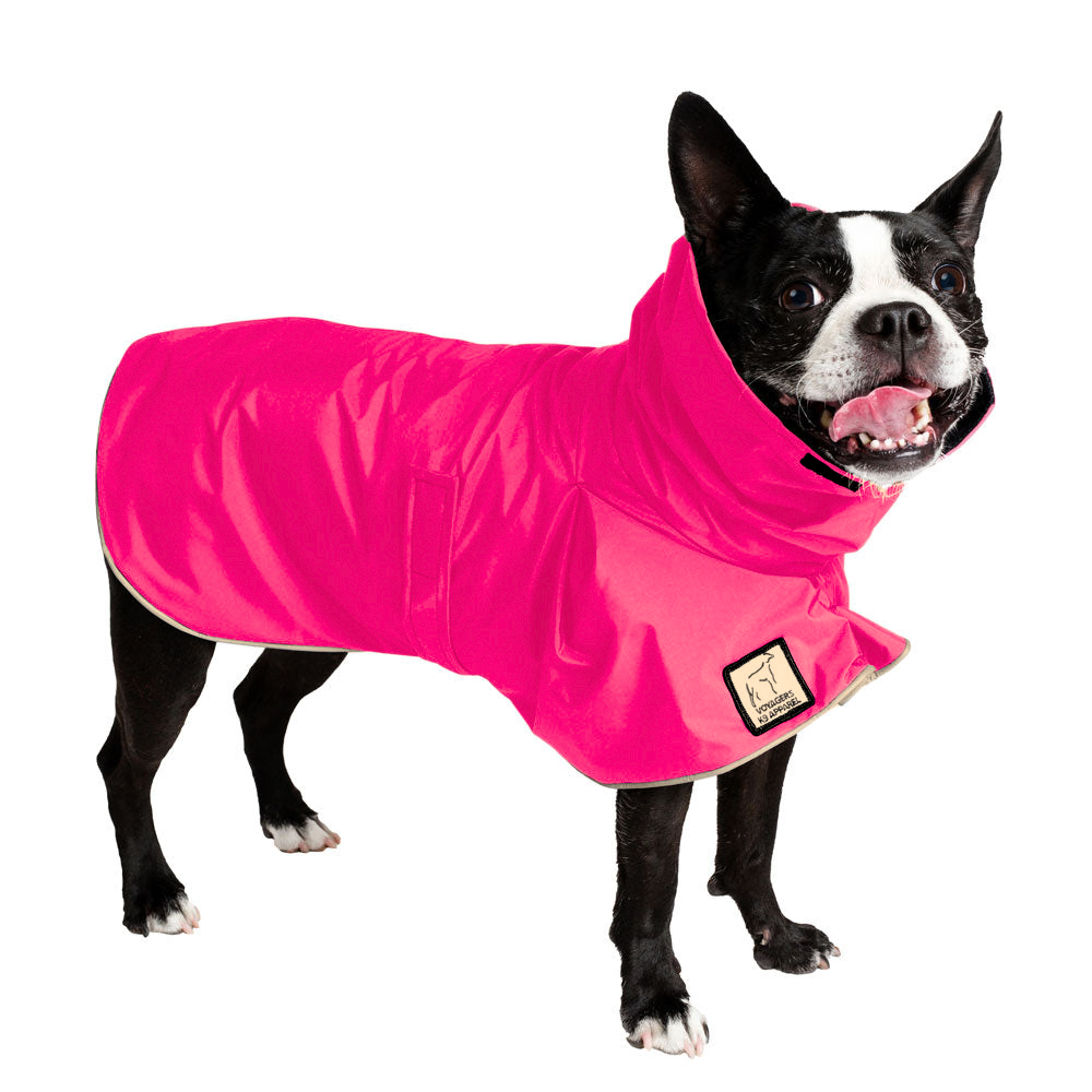 Boston Terrier Raincoat