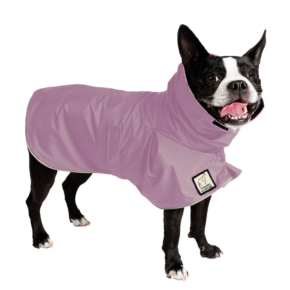 Boston Terrier Raincoat