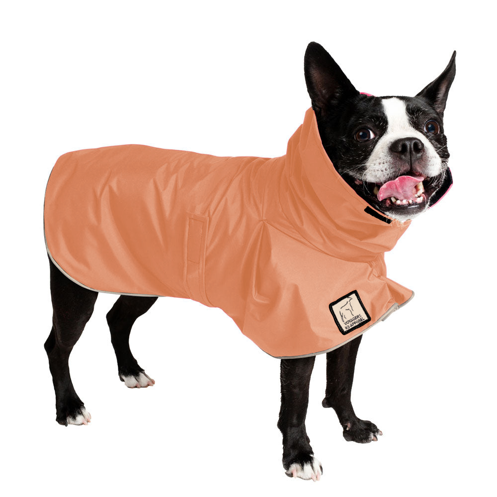 Boston Terrier Raincoat