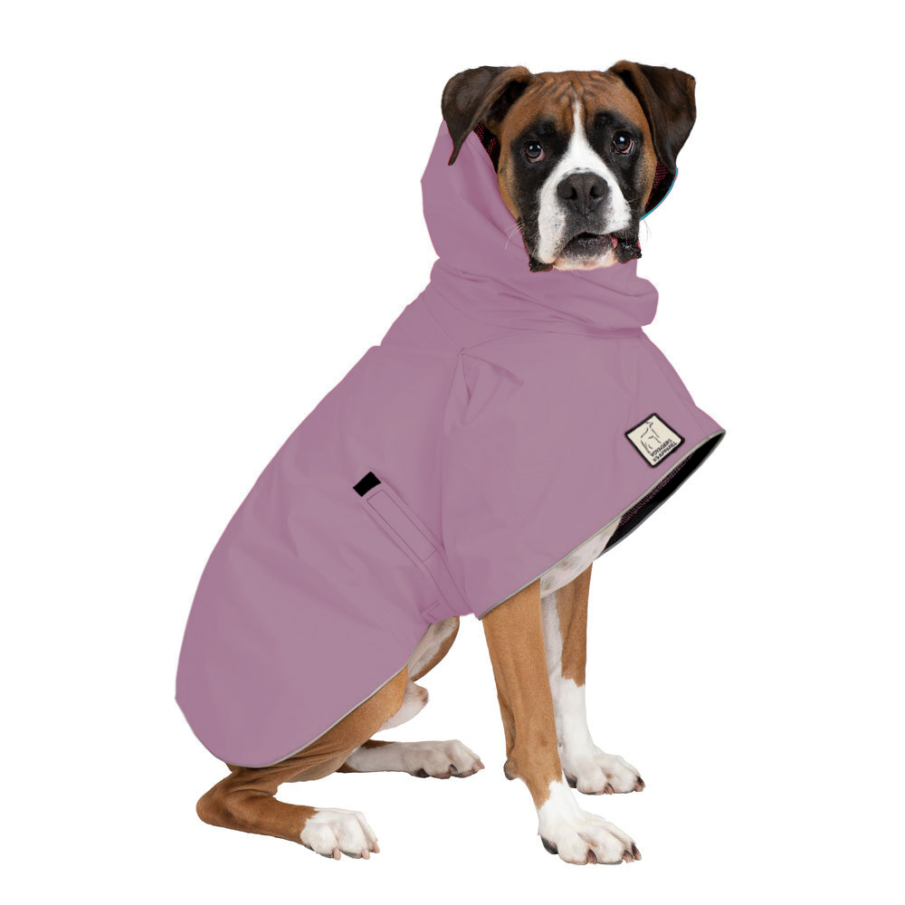 Boxer Raincoat