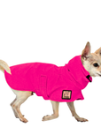Chihuahua Raincoat