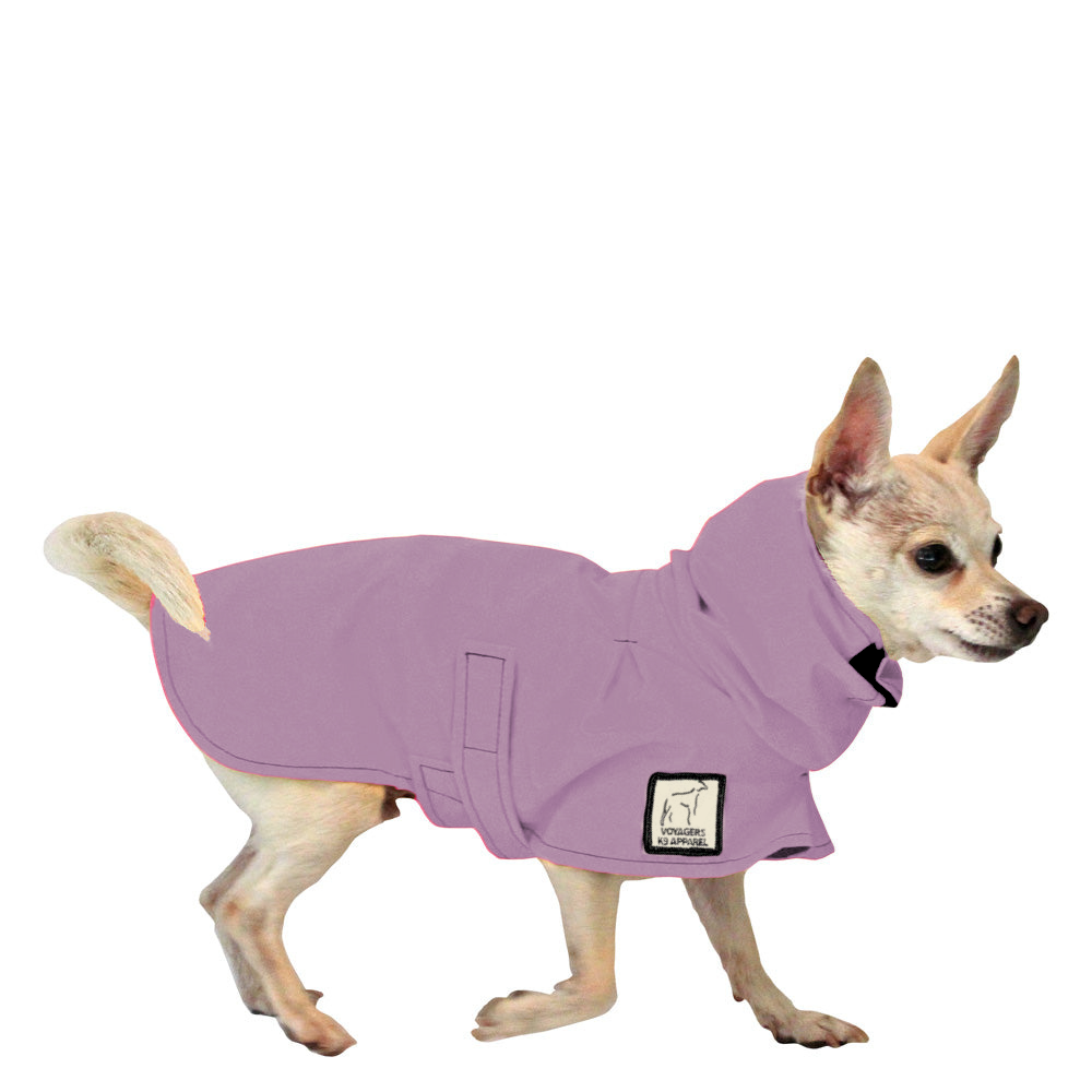 Chihuahua Raincoat