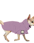 Chihuahua Raincoat