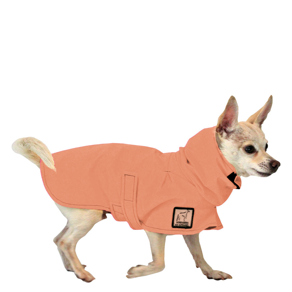 Chihuahua Raincoat