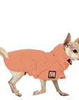 Chihuahua Raincoat