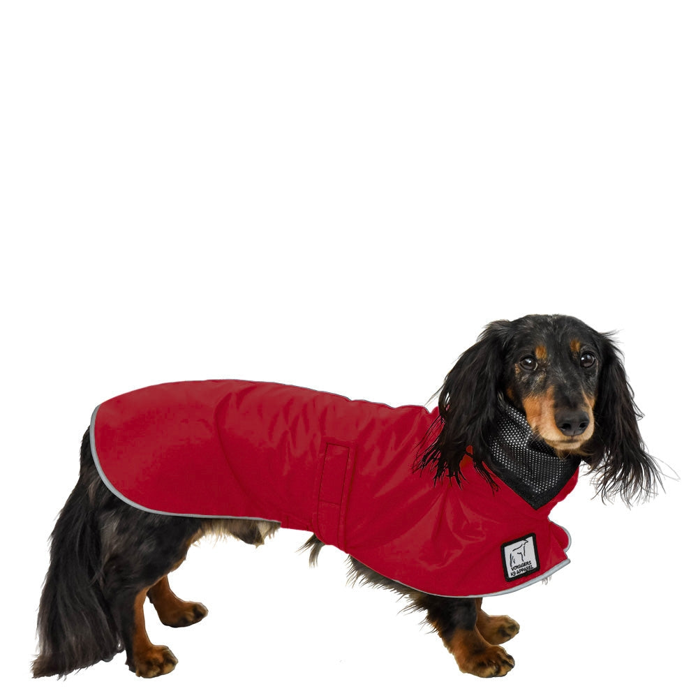 Dachshund Raincoat