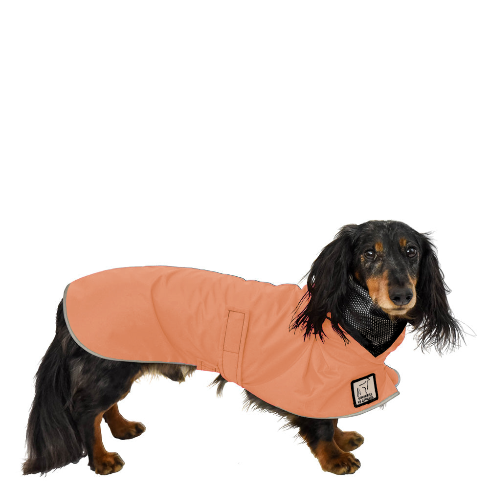 Dachshund Raincoat