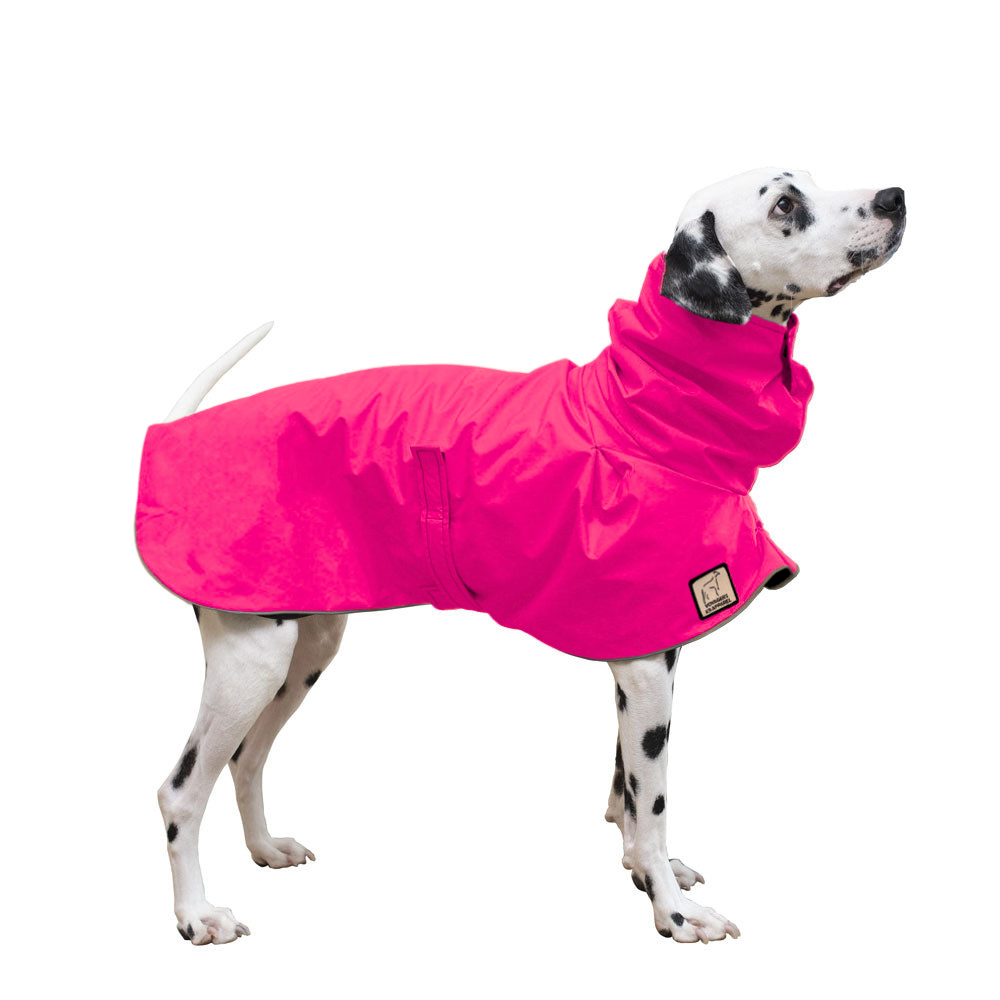 Dalmatian Raincoat
