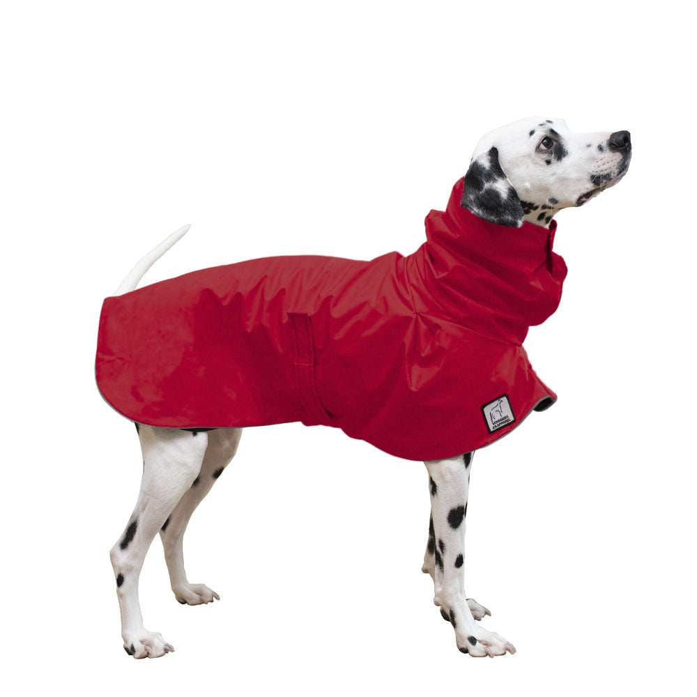 Dalmatian Raincoat