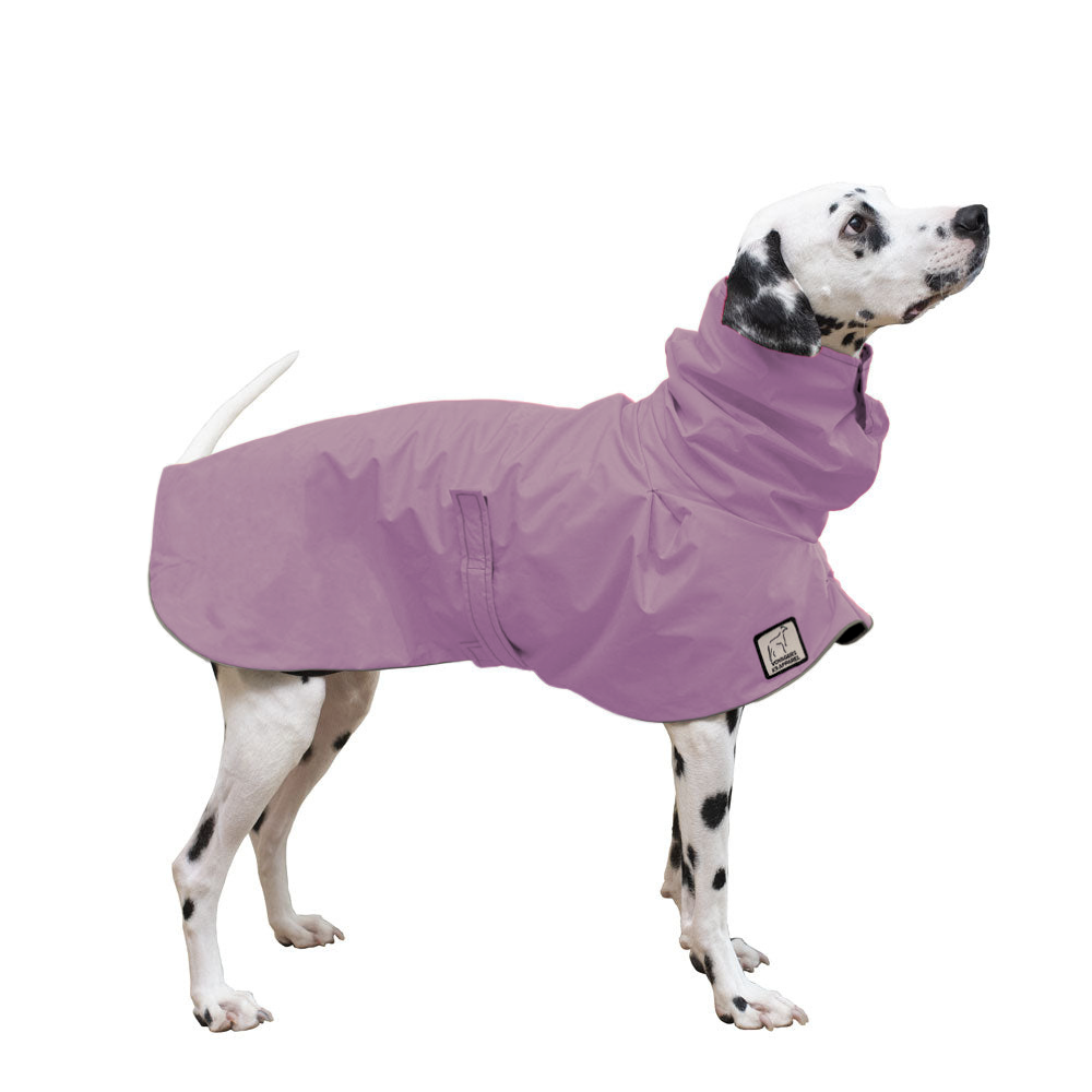 Dalmatian Raincoat