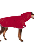 Doberman Pinscher Raincoat