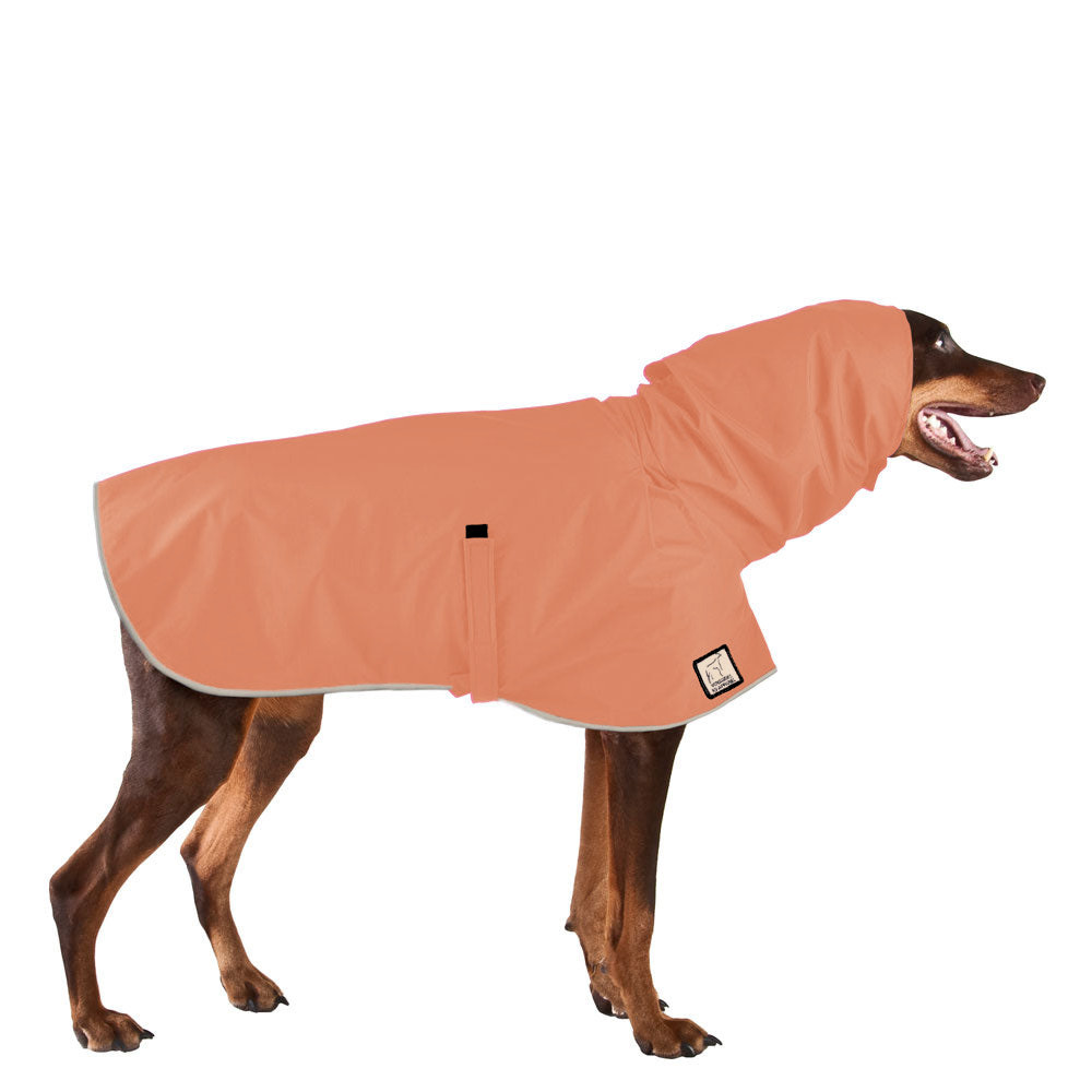 Doberman Pinscher Raincoat