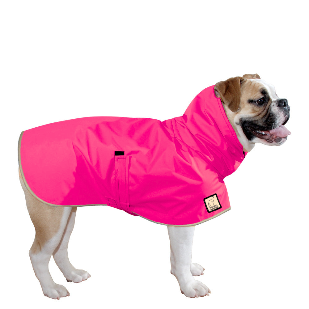 English Bulldog Raincoat