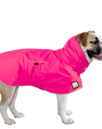 English Bulldog Raincoat
