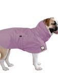 English Bulldog Raincoat