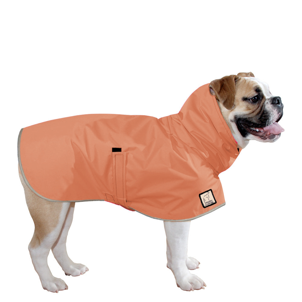 English Bulldog Raincoat