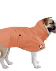 English Bulldog Raincoat