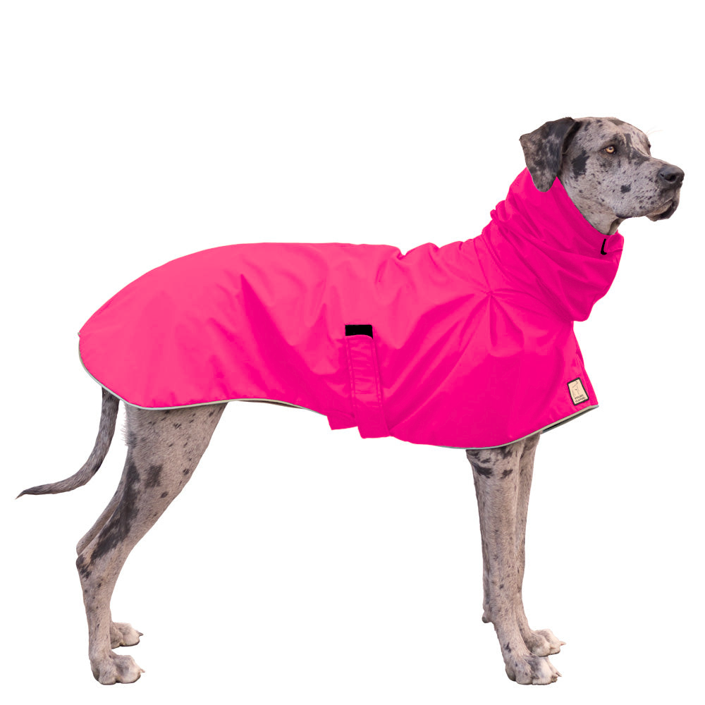 Great Dane Raincoat