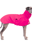 Great Dane Raincoat