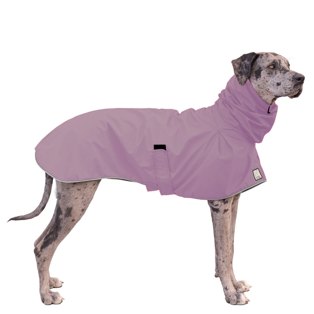 Great Dane Raincoat