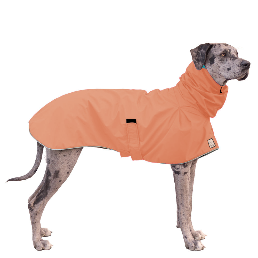 Great Dane Raincoat