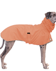 Great Dane Raincoat