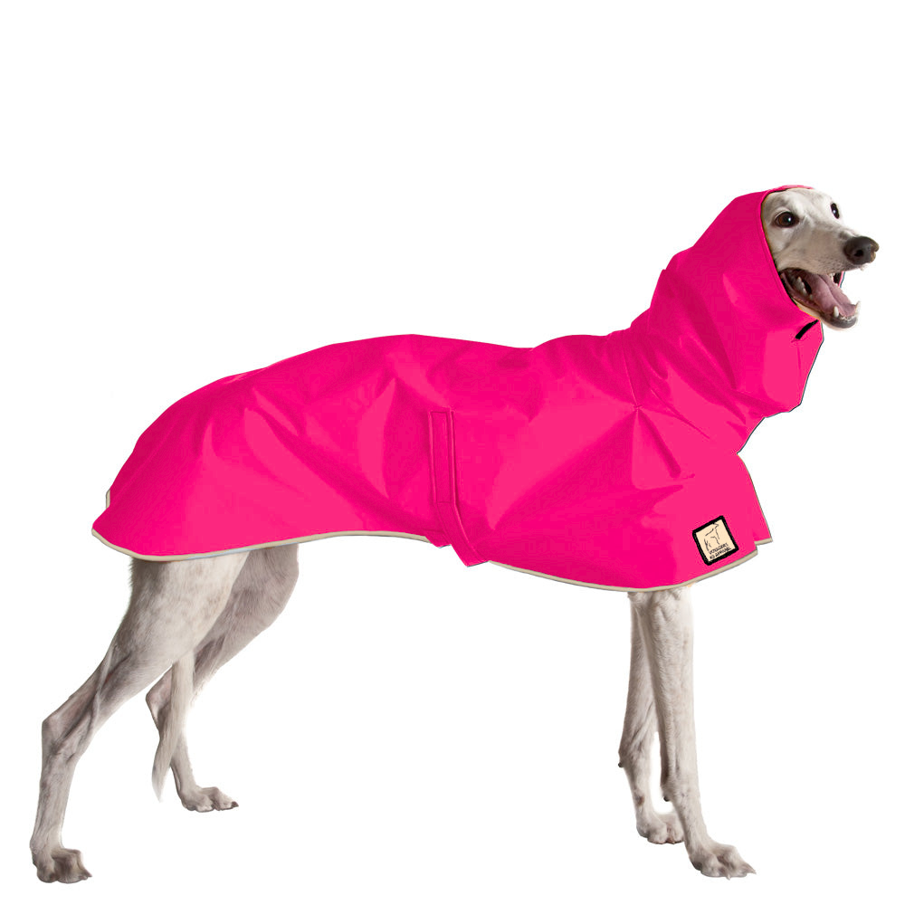 Greyhound Raincoat