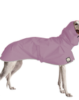 Greyhound Raincoat