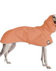 Greyhound Raincoat